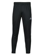 adidas Îmbracaminte TIRO23 CB TRPNT