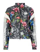 adidas Îmbracaminte x FARM RIO HOUSE OF TIRO TRACK TOP