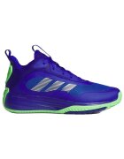 adidas Pantofi Baskets Ownthegame 3.0 multi-couleur