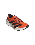 adidas Pantofi Terrex