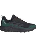 adidas Pantofi Terrex Anylander