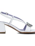 Albano Pantofi 5206/50
