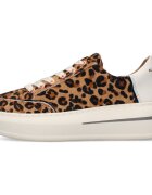 Alexander Smith Pantofi ASBCLSW-1856-CSF