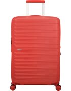 American Tourister Genti MI0096002