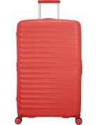 American Tourister Genti MI0096003