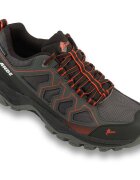 Ande Pantofi Cobra Low Wp