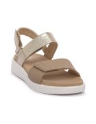 Ara Pantofi CERVOCALF GAUCHO