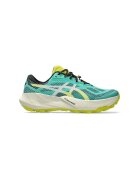 asics Pantofi 1011C166300