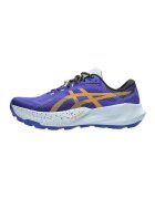 asics Pantofi 1011C166400