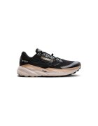 Brooks Pantofi Cascadia 19 Gtx