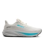Brooks Pantofi Ghost 17 Gtx