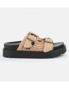 Buffalo Pantofi Raya ari bo