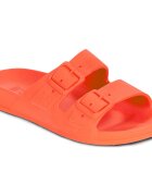 Cacatoès Pantofi BAHIA