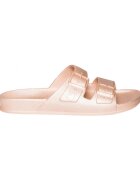Cacatoès Pantofi Baleia