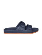 Cacatoès Pantofi Brasilia