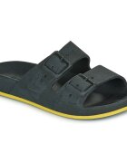 Cacatoès Pantofi BRASILIA