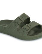 Cacatoès Pantofi RIO DE JANEIRO BABIES