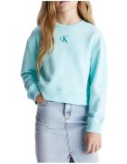 Calvin Klein Jeans Îmbracaminte IG0IG02423 CCP