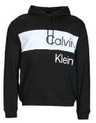 Calvin Klein Jeans Îmbracaminte INSTITUTIONAL BLOCKING HOODIE