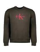 Calvin Klein Jeans Îmbracaminte Ls Eu 350terry Monologo
