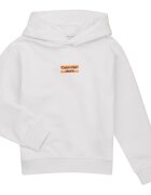 Calvin Klein Jeans Îmbracaminte MINI BLOCK LOGO HOODIE