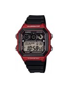 Casio Ceasuri & Bijuterii AE1300WH4AVEF