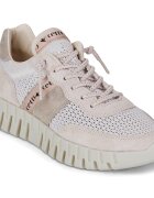 Cetti Pantofi C-849-SRA-EXP-V26-ANTE-REJILLA-IVORY