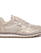 Cetti Pantofi PARIGI CHAMPAGNE