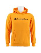 Champion Îmbracaminte Big Logo Print
