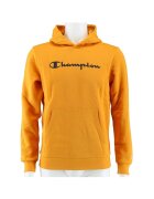 Champion Îmbracaminte Big Logo Print