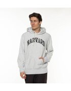 Champion Îmbracaminte Harvard