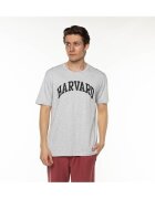 Champion Îmbracaminte Harvard