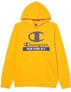 Champion Îmbracaminte Hooded Sweatshirt