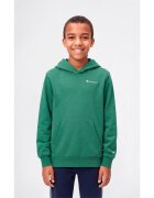 Champion Îmbracaminte Hooded Sweatshirt