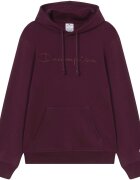 Champion Îmbracaminte Hooded Sweatshirt
