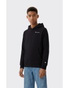 Champion Îmbracaminte Hoodie Sweatshirt