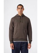 Champion Îmbracaminte Hoodie Sweatshirt