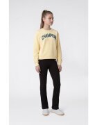 Champion Îmbracaminte Sweatsuit