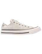 Converse Pantofi Baskets Chuck Taylor All Star Low en toile grise