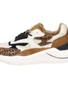 D.A.T.E. Pantofi W431-FG-AN-TA