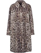 D&G Îmbracaminte -