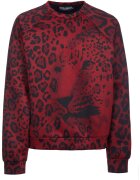 D&G Îmbracaminte -