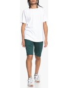 DC Shoes Îmbracaminte DC HEGGERTY SHORT JUNE BUG SEDYFB03047