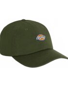 Dickies Accesorii textile Dk0a4tkvl951 Hardwick