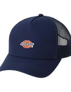 Dickies Accesorii textile Dk0a4yv3l181