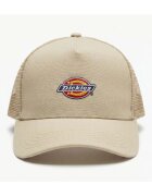 Dickies Accesorii textile Dk0a4yv3l441