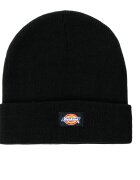 Dickies Accesorii textile GIBSLAND BEANIE