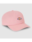 Dickies Accesorii textile Hardwick