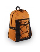 Dickies Genti Ashville backpack