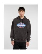 Dickies Îmbracaminte Coolidge hoodie